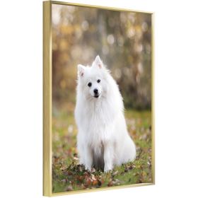 Custom Canvas Prints With Your Photos for Pet Family Photo Prints Personalized Canvas Aluminum Alloy Framed Wall Art (Gold: 12*16)